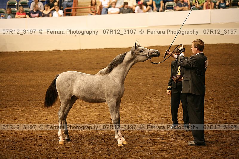Proof 07r12_3197