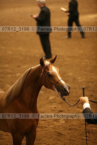 Proof 07r12_3198