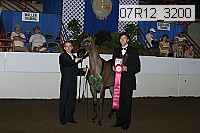 07r12_3200 proof