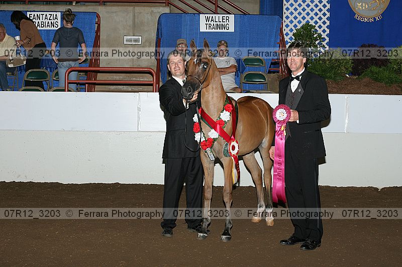 Proof 07r12_3203
