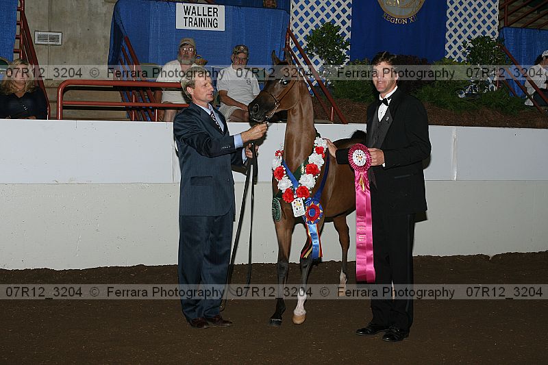 Proof 07r12_3204