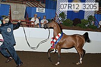 07r12_3205 proof