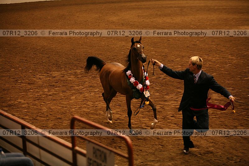 Proof 07r12_3206