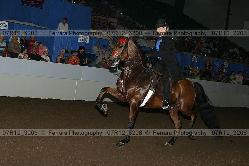 Proof 07r12_3208