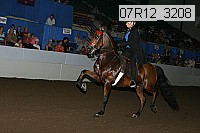 07r12_3208 proof