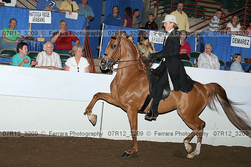 Proof 07r12_3209