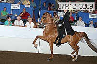 07r12_3209 proof