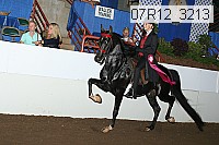 07r12_3213 proof