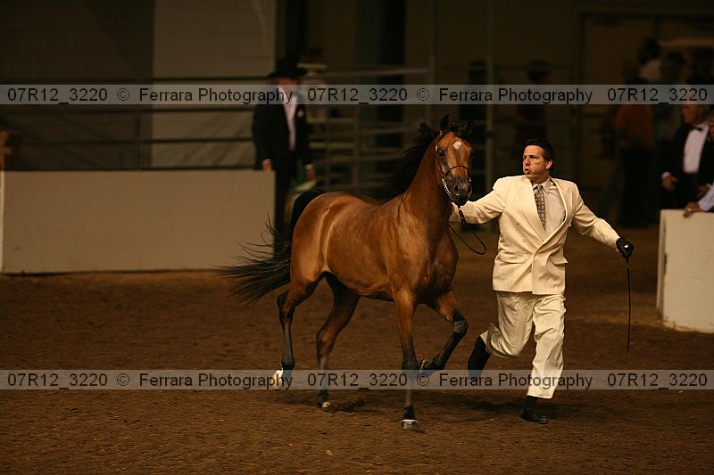Proof 07r12_3220