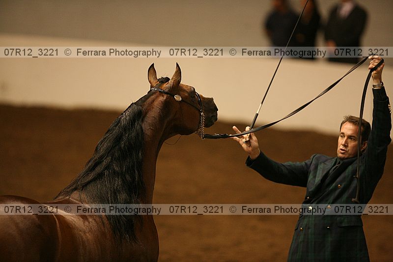 Proof 07r12_3221