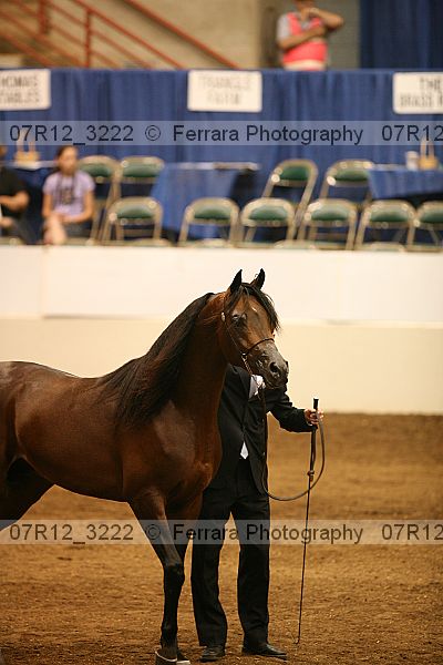 Proof 07r12_3222