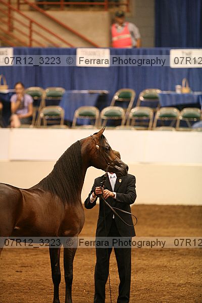 Proof 07r12_3223