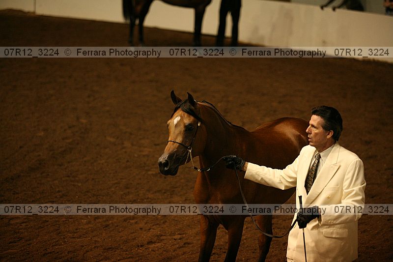 Proof 07r12_3224