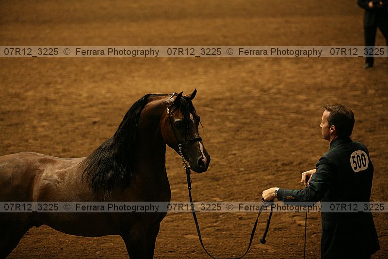 Proof 07r12_3225