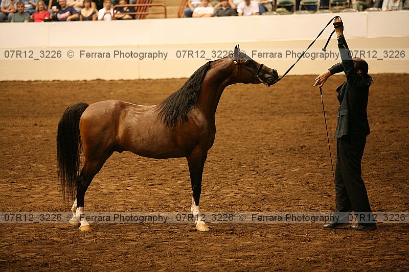 Proof 07r12_3226