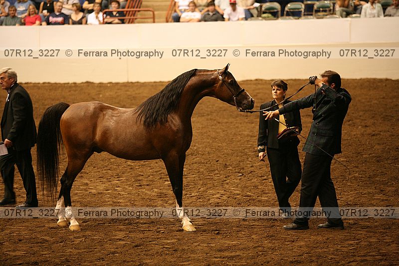 Proof 07r12_3227
