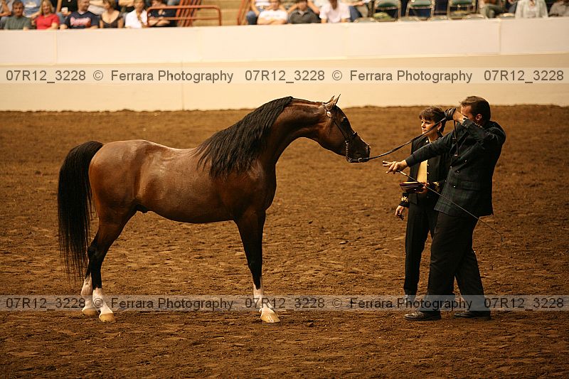 Proof 07r12_3228