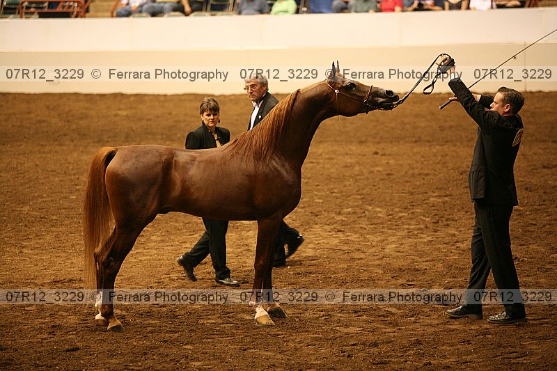 Proof 07r12_3229