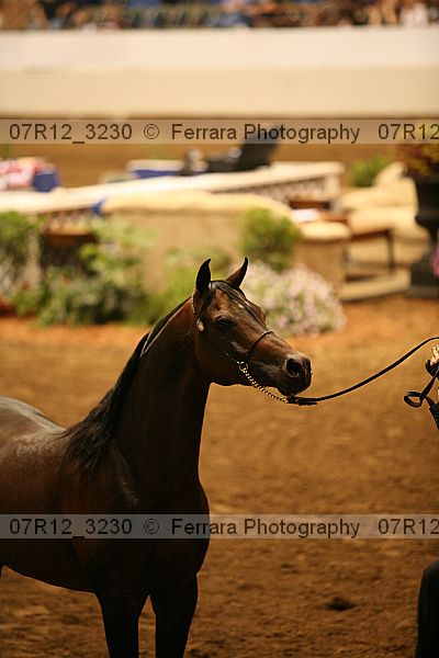 Proof 07r12_3230
