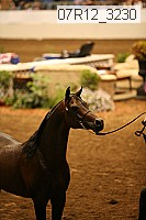 07r12_3230 proof