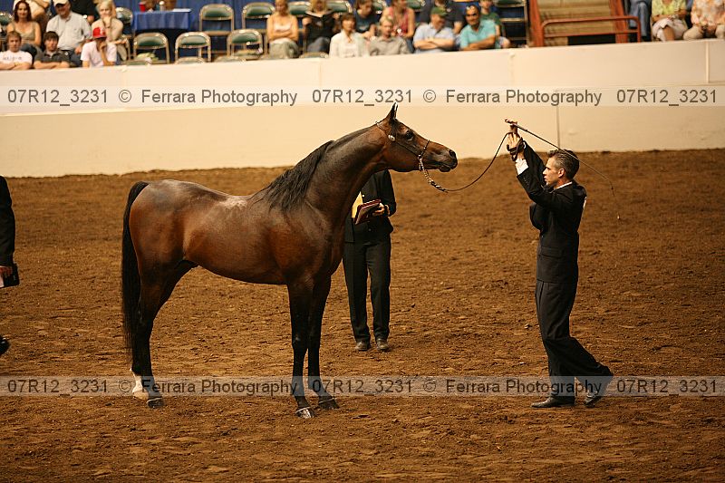 Proof 07r12_3231