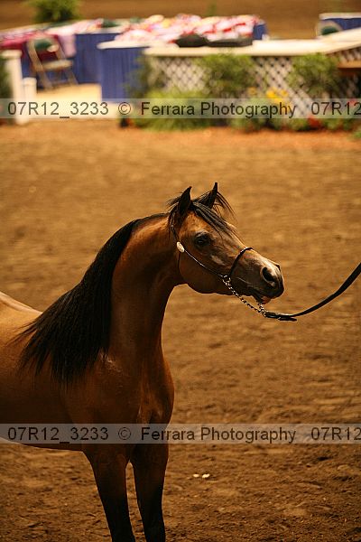 Proof 07r12_3233