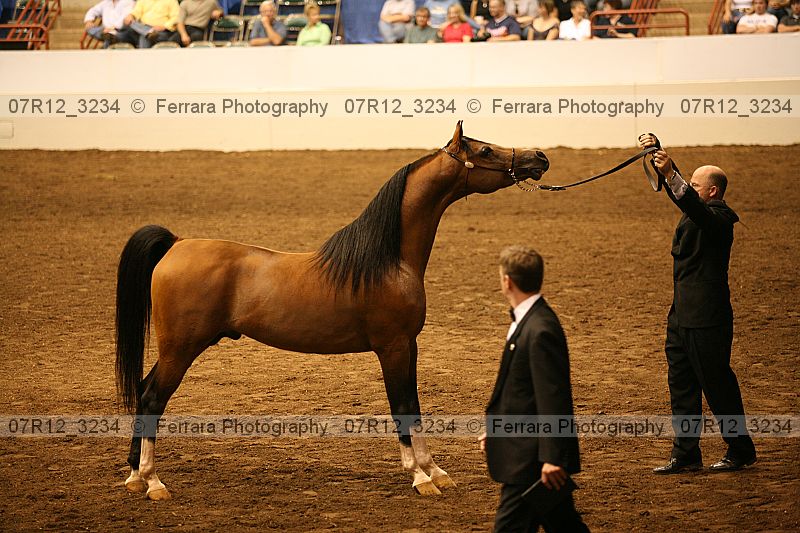 Proof 07r12_3234