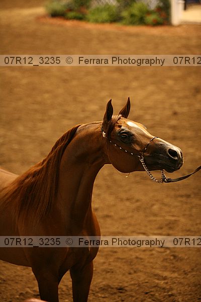 Proof 07r12_3235