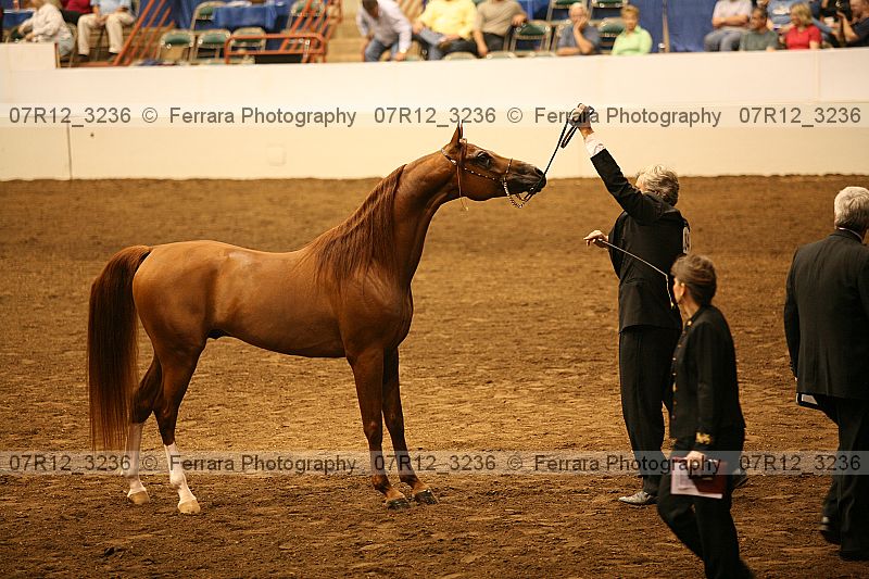 Proof 07r12_3236