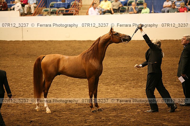 Proof 07r12_3237
