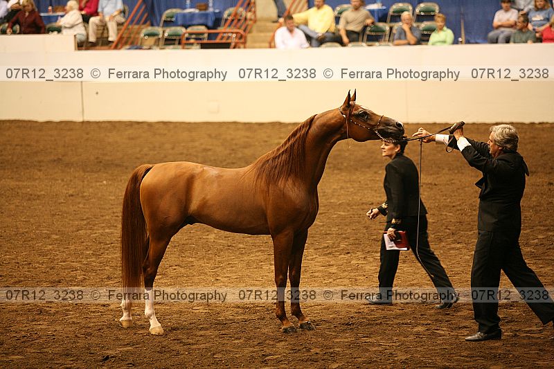 Proof 07r12_3238