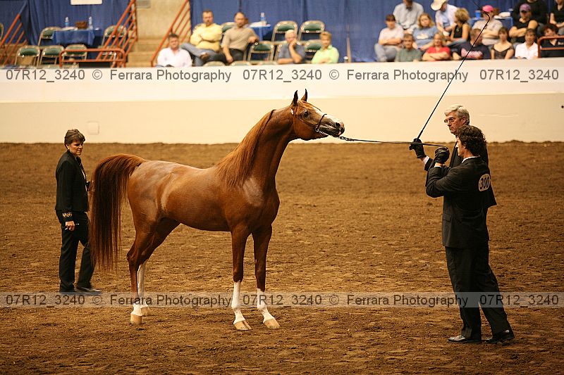 Proof 07r12_3240