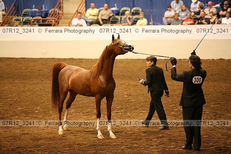 Proof 07r12_3241