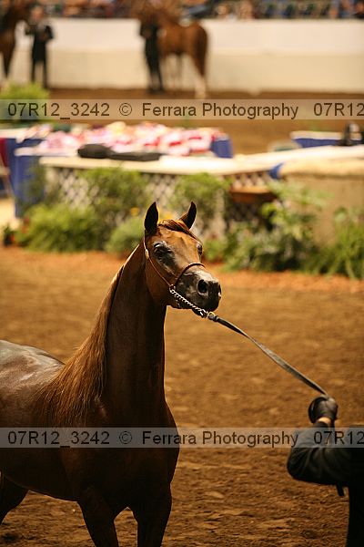 Proof 07r12_3242
