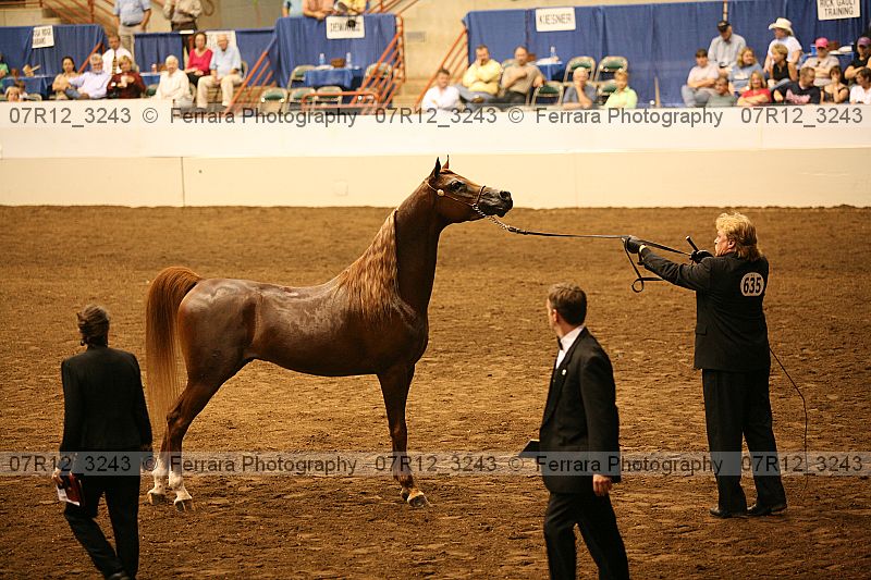 Proof 07r12_3243
