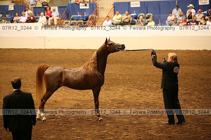 Proof 07r12_3244