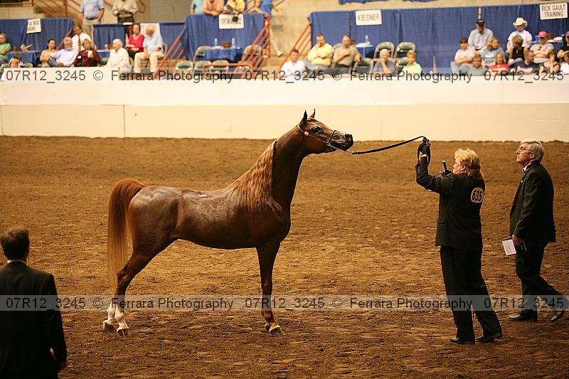 Proof 07r12_3245