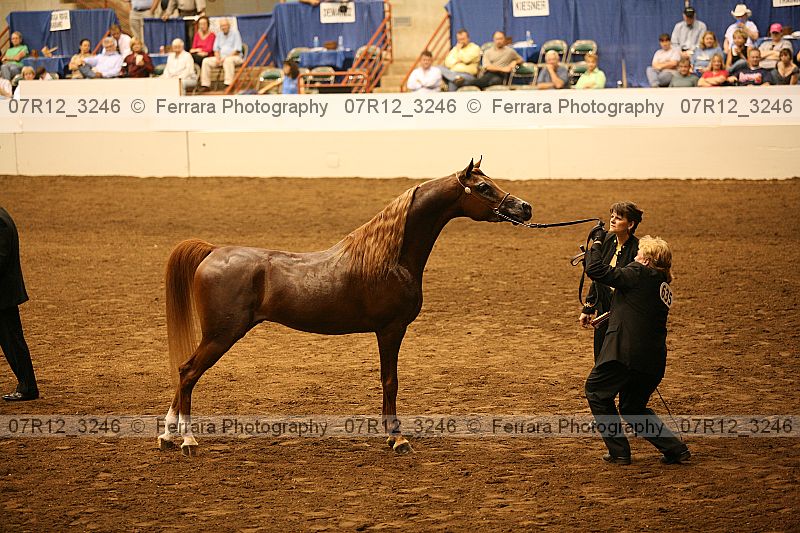 Proof 07r12_3246