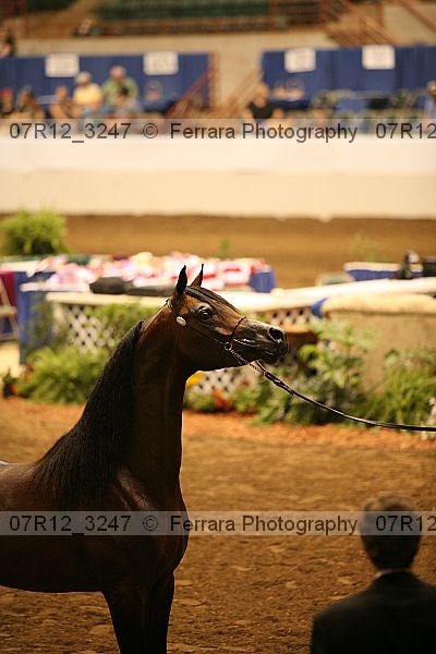 Proof 07r12_3247
