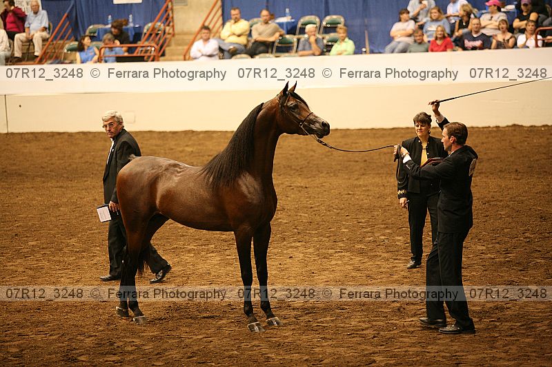Proof 07r12_3248