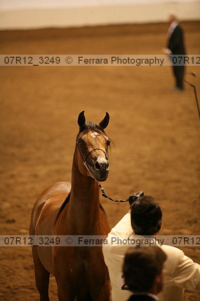 Proof 07r12_3249