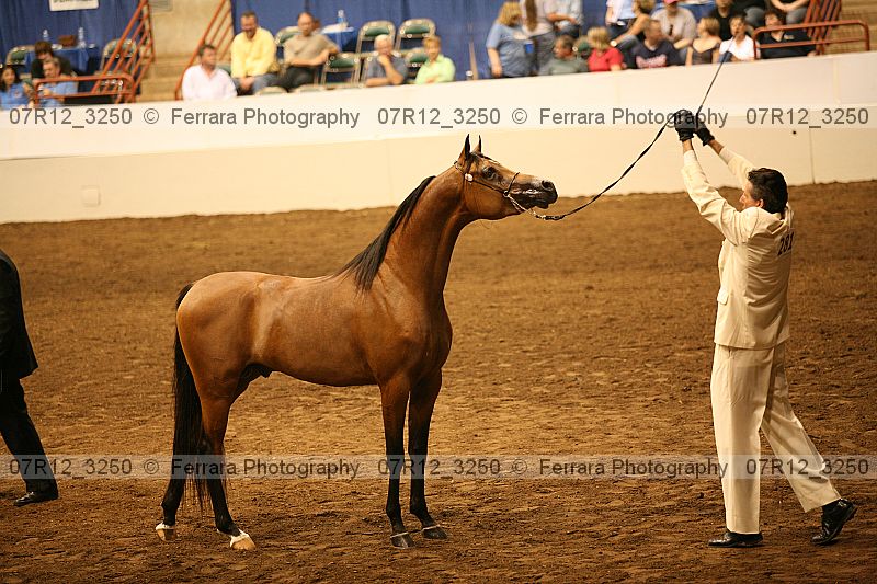 Proof 07r12_3250