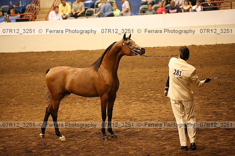 Proof 07r12_3251