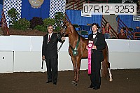 07r12_3253 proof