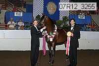 07r12_3255 proof