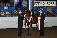 07r12_3256 proof