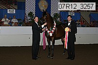 07r12_3257 proof