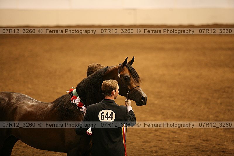 Proof 07r12_3260