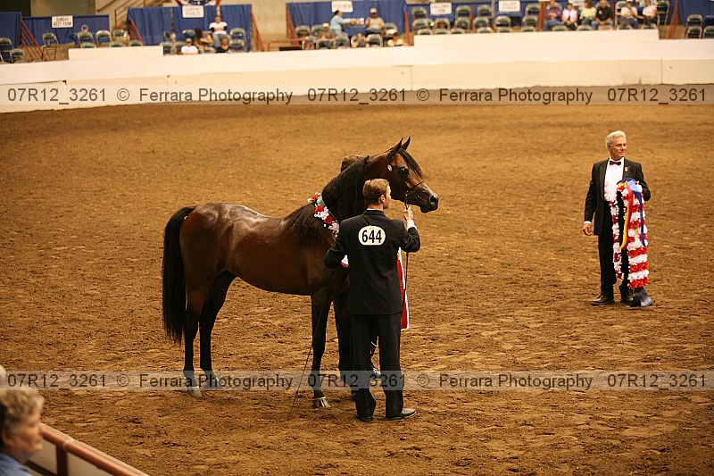 Proof 07r12_3261