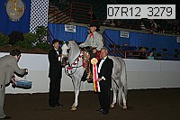 07r12_3279 proof